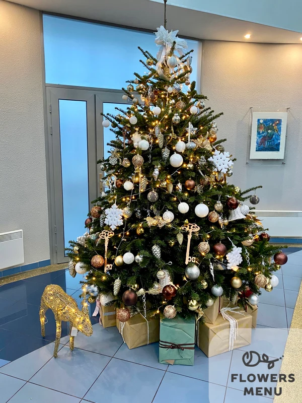 image-4