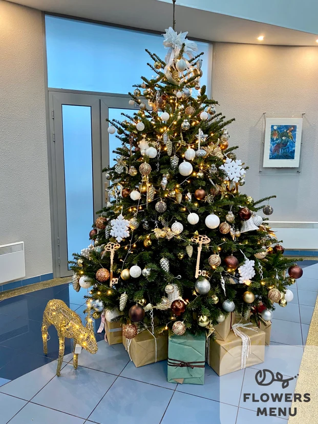 image-4